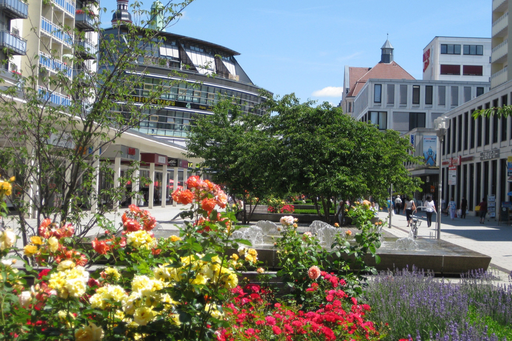 Blick auf den Rosenhof